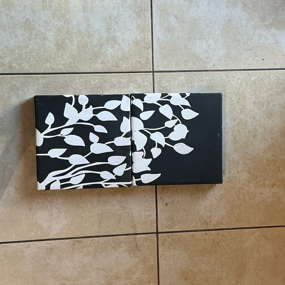 Black and White Leaf Canvas Art